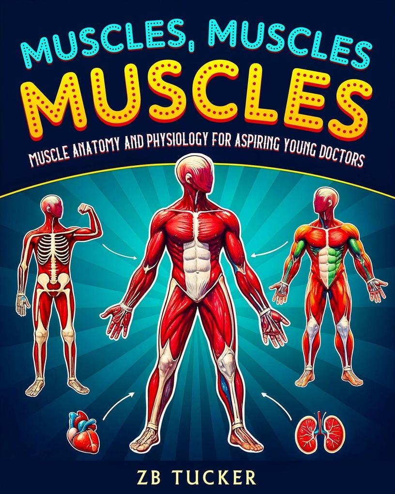 Muscles Muscles Muscles