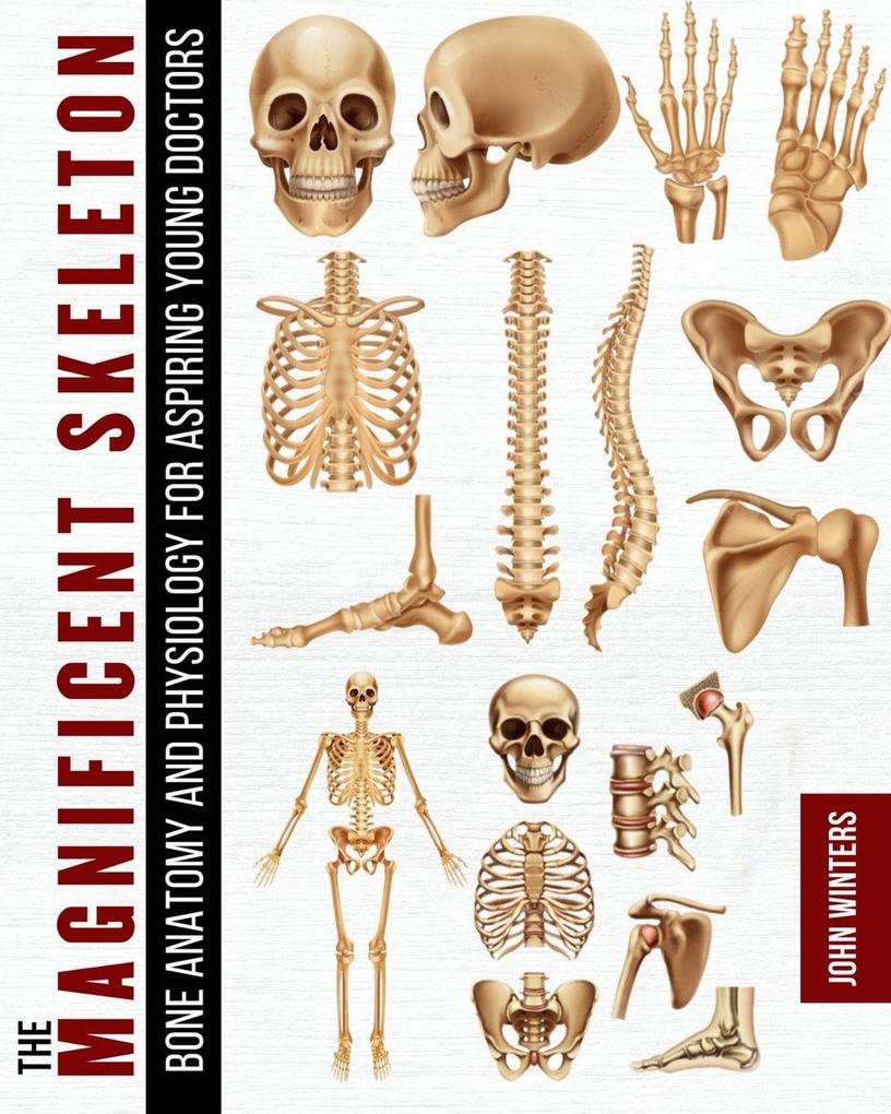 The Magnificent Skeleton