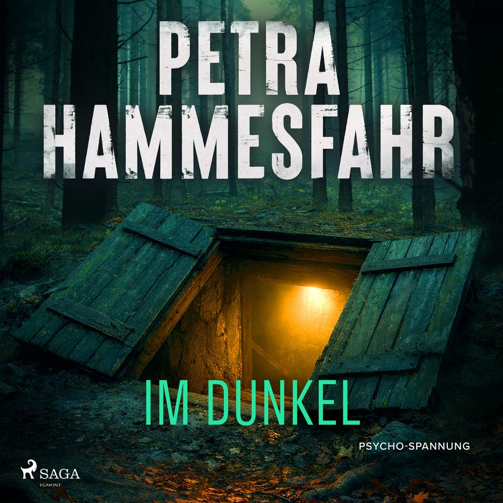 Im Dunkel