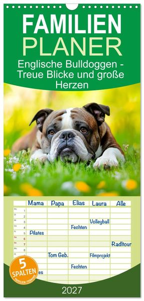 Familienplaner 2027 - Englische Bulldoggen - Treue Blicke und große Herzen mit 5 Spalten (Wandkalender 21 x 45 cm) CALVENDO