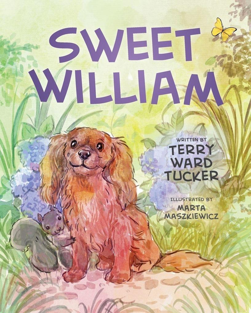 Sweet William