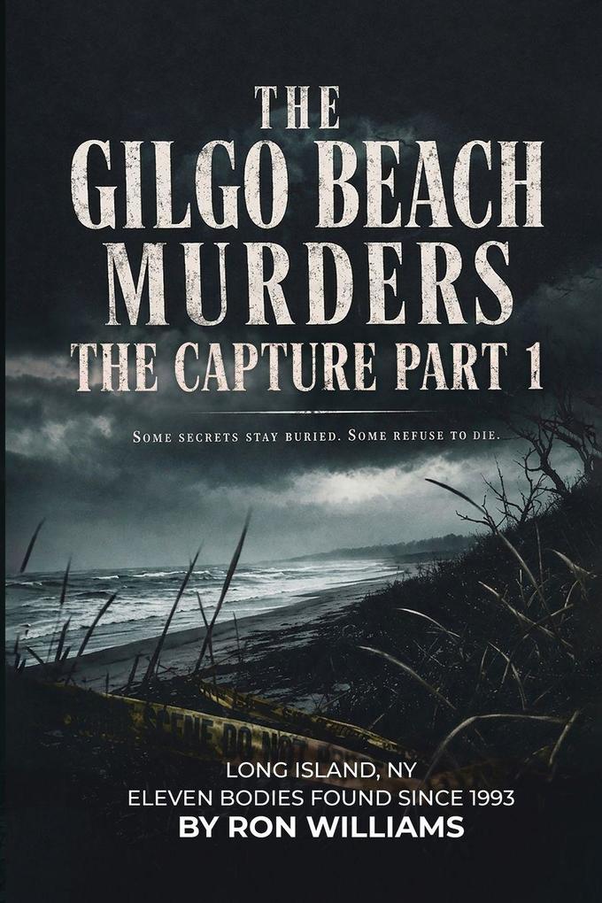 The Gilgo Beach Murders