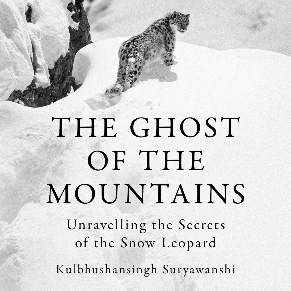 The Ghost of the Mountains