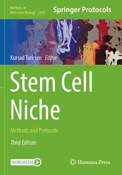 Stem Cell Niche