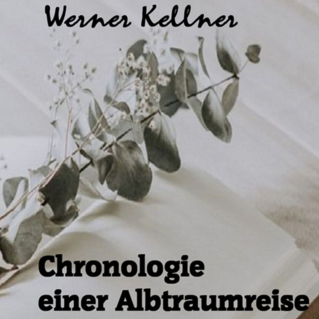 Chronologie einer Albtraumreise