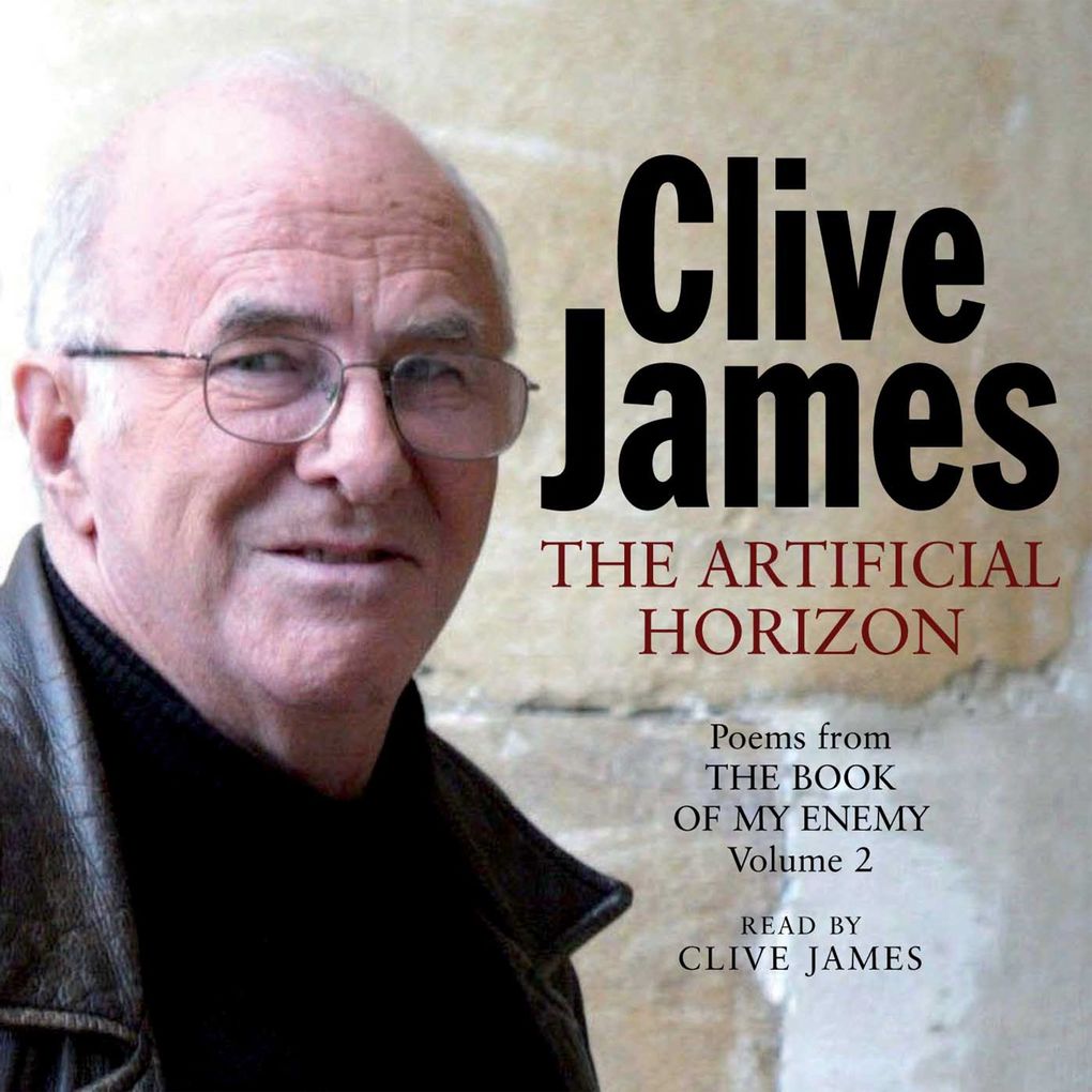 The Artificial Horizon