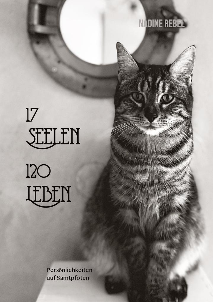 17 Seelen - 120 Leben