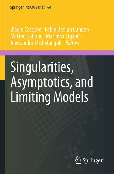 Singularities Asymptotics and Limiting Models