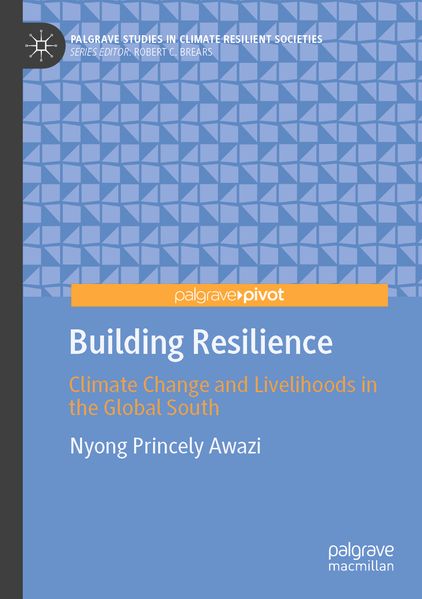 Building Resilience