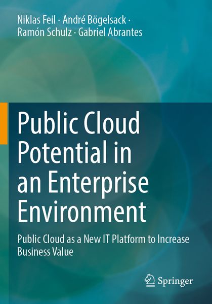 Public Cloud Potential in an Enterprise Environment