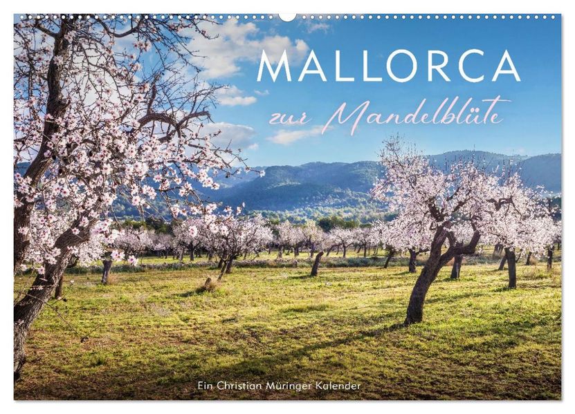 Mallorca zur Mandelblüte (Wandkalender 2027 DIN A2 quer) CALVENDO Monatskalender