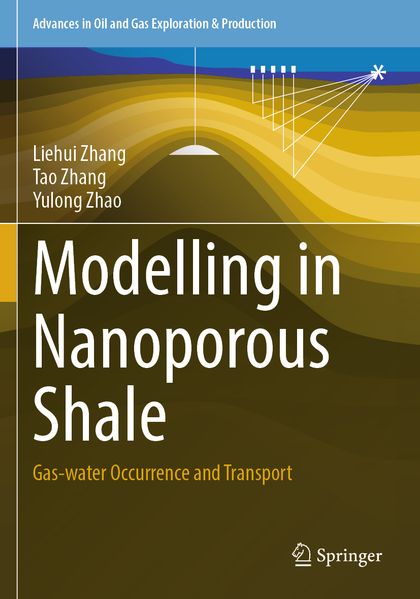 Modelling in Nanoporous Shale