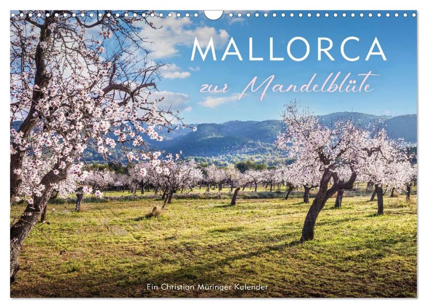 Mallorca zur Mandelblüte (Wandkalender 2027 DIN A3 quer) CALVENDO Monatskalender