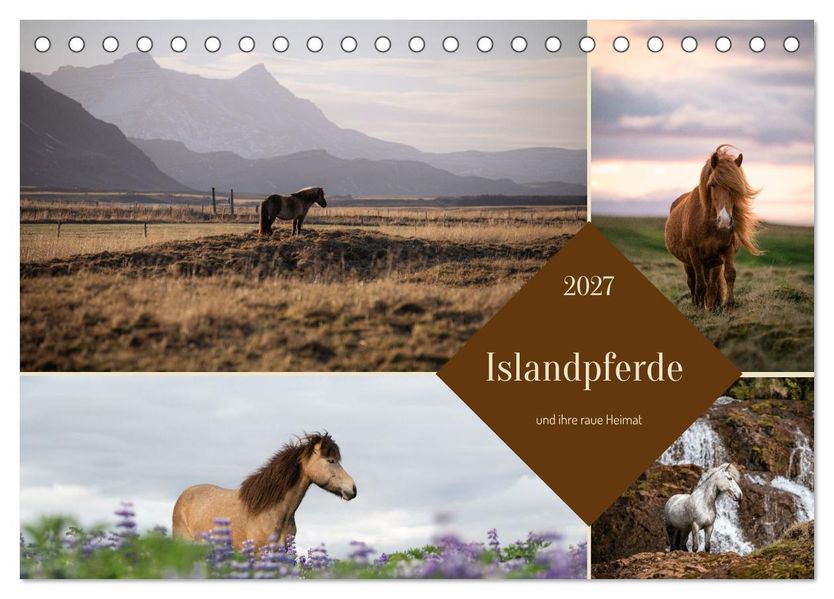 Islandpferde und ihre raue Heimat (Tischkalender 2027 DIN A5 quer) CALVENDO Monatskalender