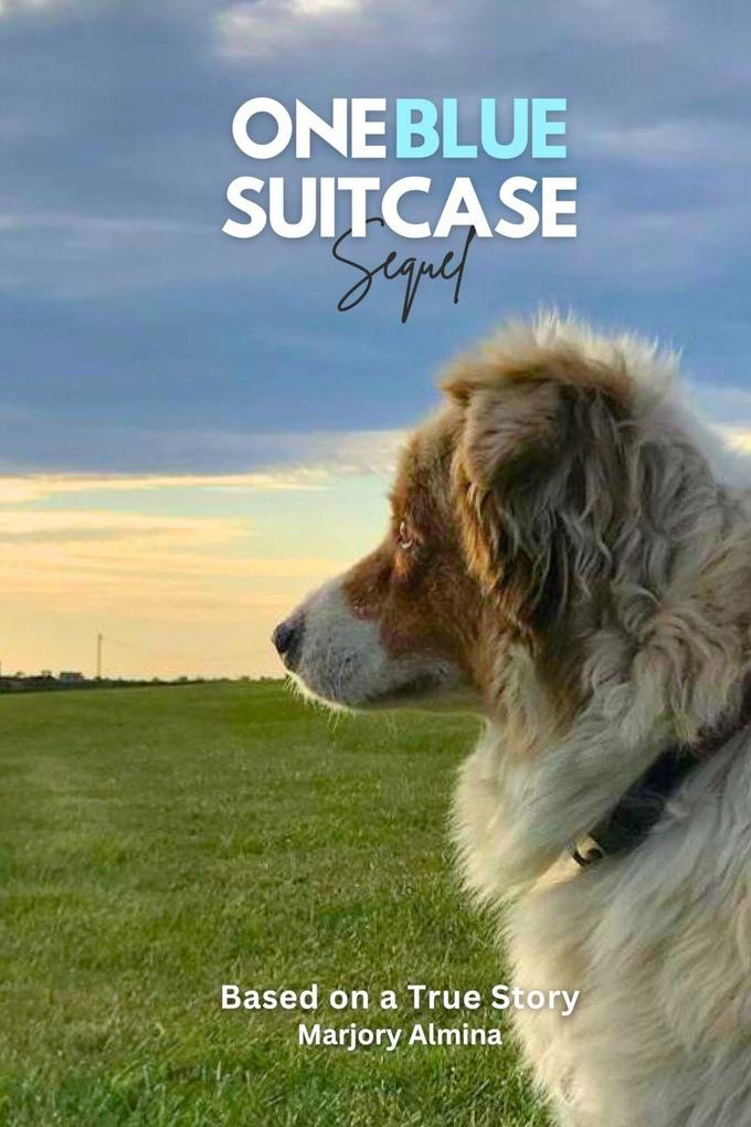 One Blue Suitcase Sequel