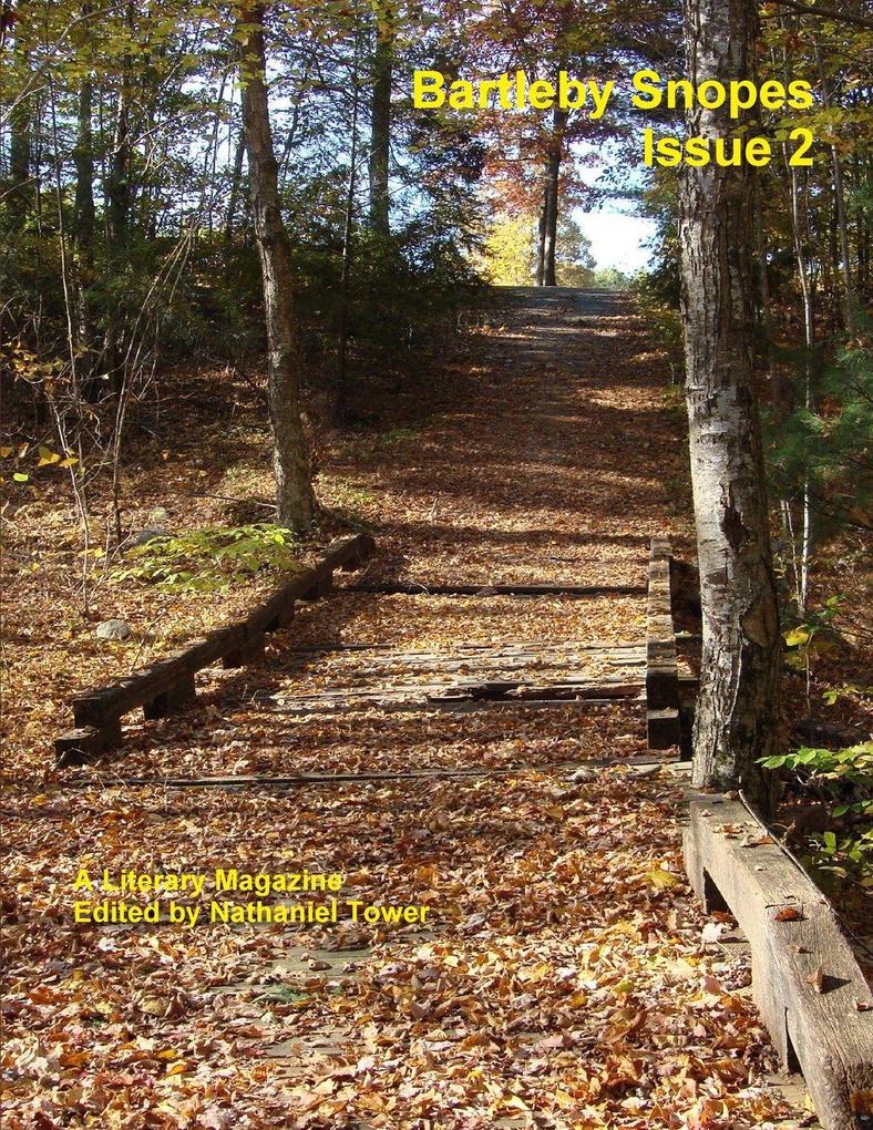 Bartleby Snopes Issue 2