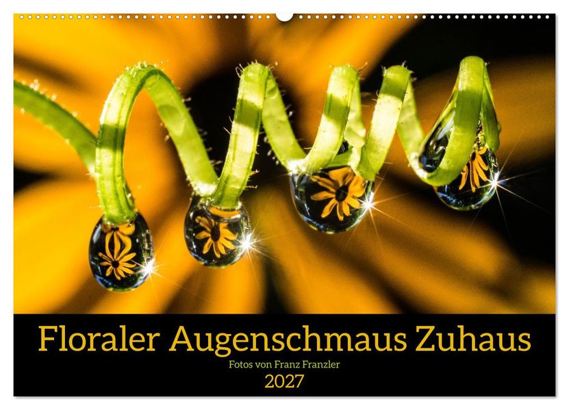 Floraler Augenschmaus Zuhaus (Wandkalender 2027 DIN A2 quer) CALVENDO Monatskalender