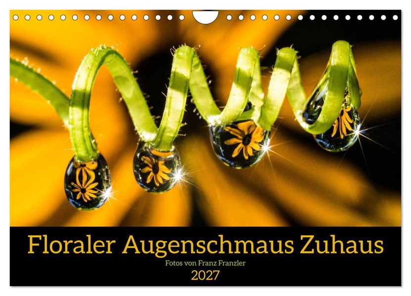 Floraler Augenschmaus Zuhaus (Wandkalender 2027 DIN A4 quer) CALVENDO Monatskalender
