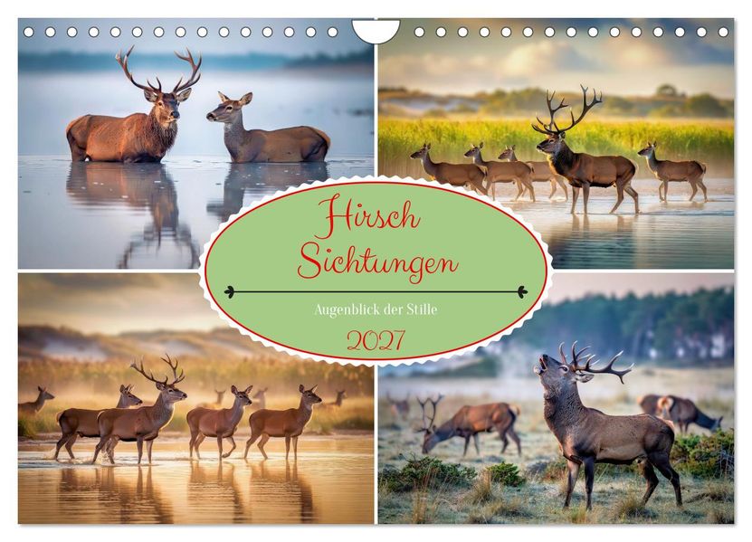 Hirsch Sichtungen (Wandkalender 2027 DIN A4 quer) CALVENDO Monatskalender