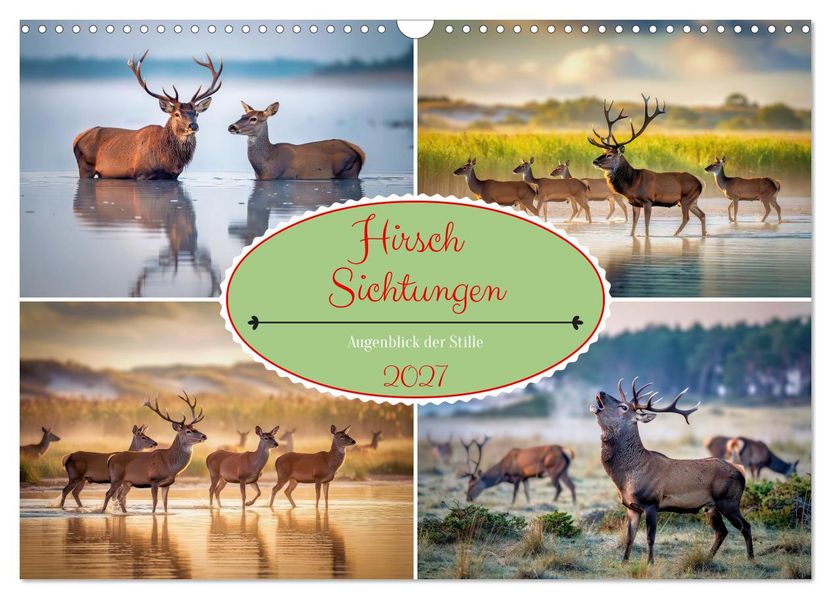 Hirsch Sichtungen (Wandkalender 2027 DIN A3 quer) CALVENDO Monatskalender