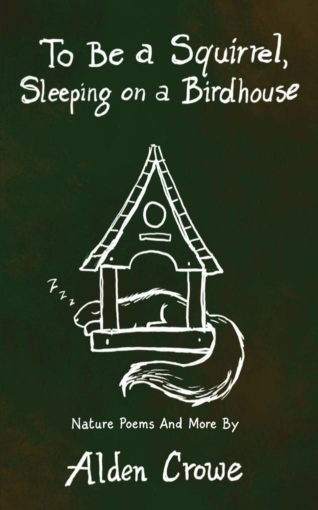 To Be A Squirrel Sleeping On A Birdhouse