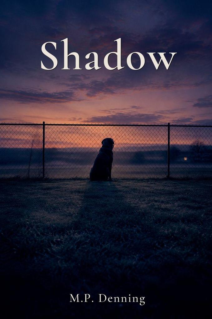 Shadow