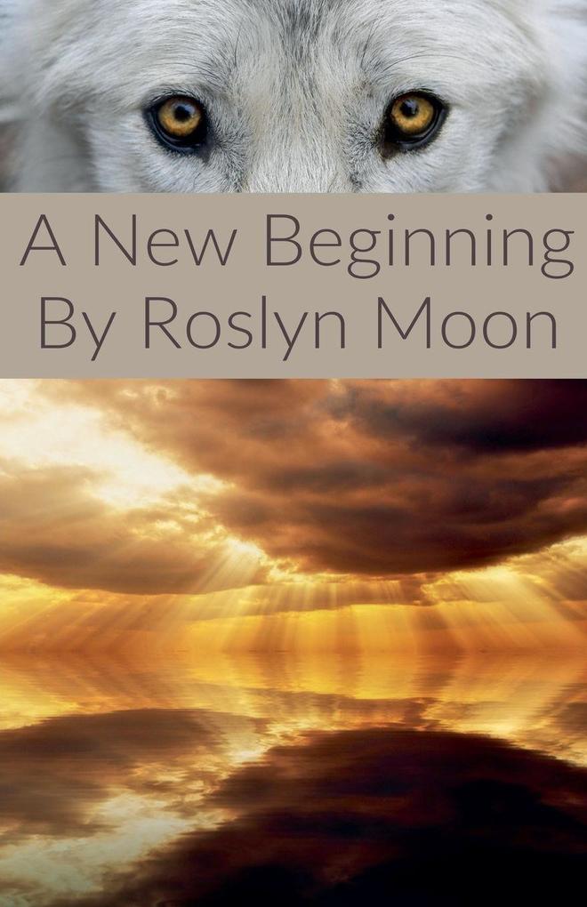 A New Beginning