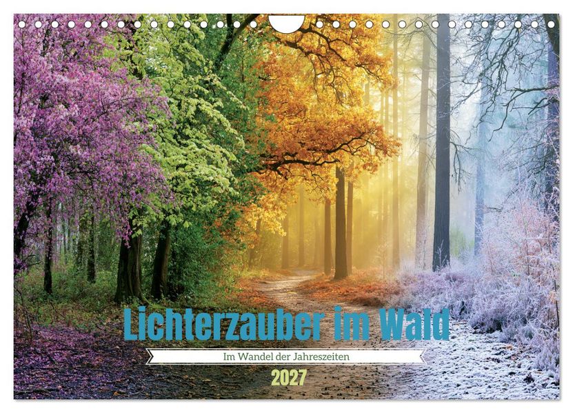 Lichterzauber im Wald (Wandkalender 2027 DIN A4 quer) CALVENDO Monatskalender