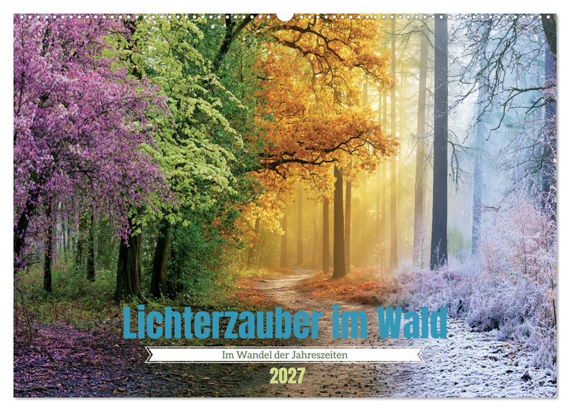Lichterzauber im Wald (Wandkalender 2027 DIN A2 quer) CALVENDO Monatskalender
