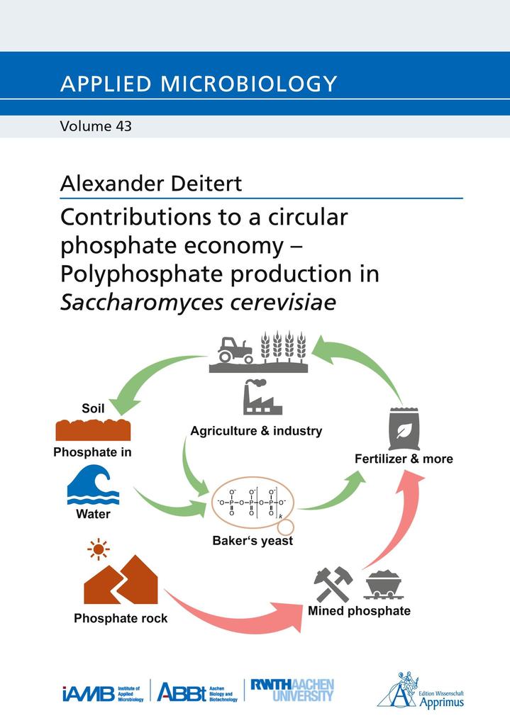 Contributions to a circular phosphate economy - Polyphosphate production in Saccharomyces cerevisiae