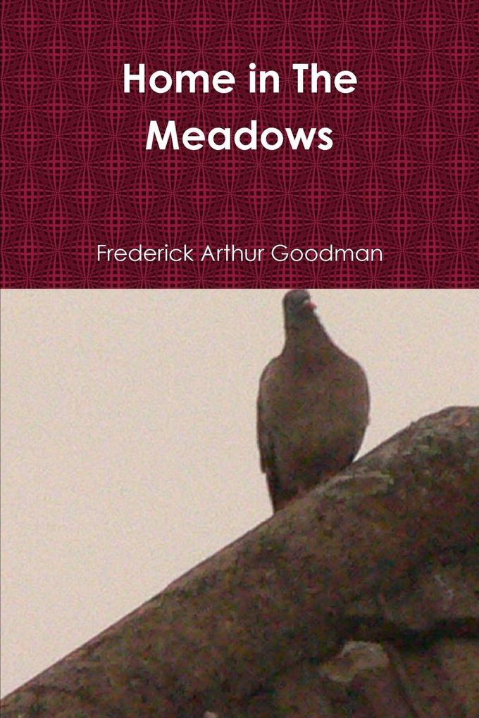 Home in The Meadows