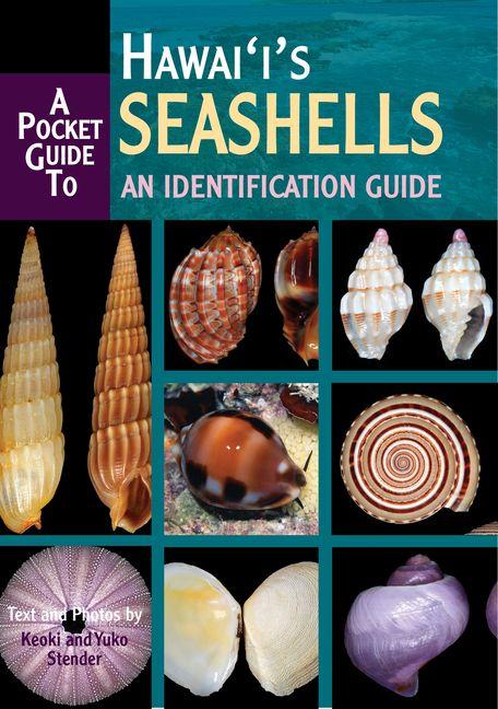 A Pocket Guide to Hawaii's Seashells