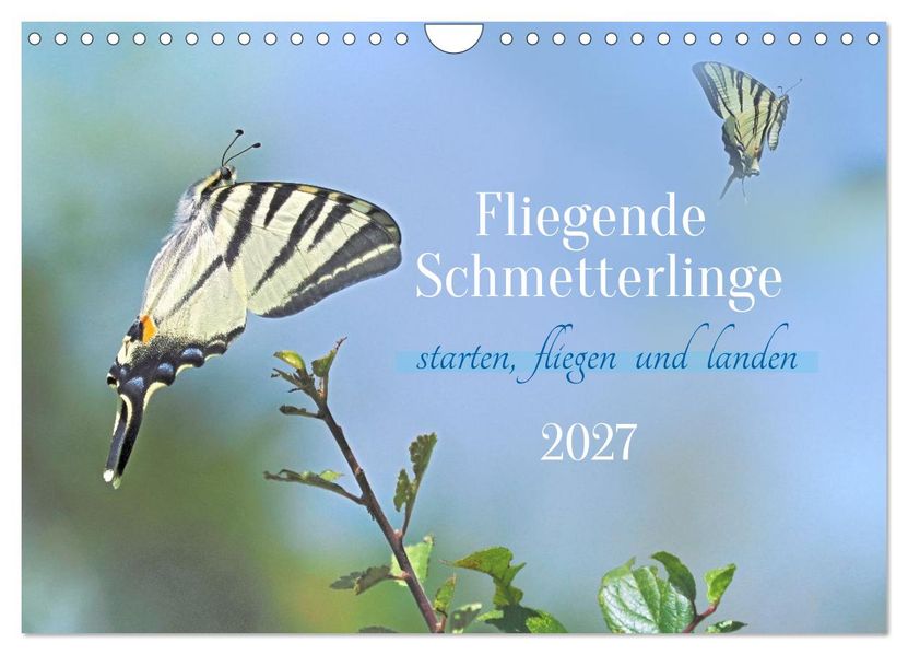 Fliegende Schmetterlinge (Wandkalender 2027 DIN A4 quer) CALVENDO Monatskalender