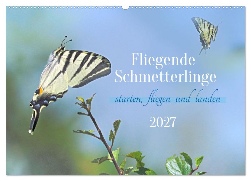 Fliegende Schmetterlinge (Wandkalender 2027 DIN A2 quer) CALVENDO Monatskalender
