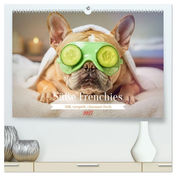 Süße Frenchies (hochwertiger Premium Wandkalender 2027 DIN A2 quer) Kunstdruck in Hochglanz