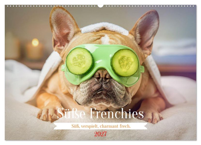 Süße Frenchies (Wandkalender 2027 DIN A2 quer) CALVENDO Monatskalender