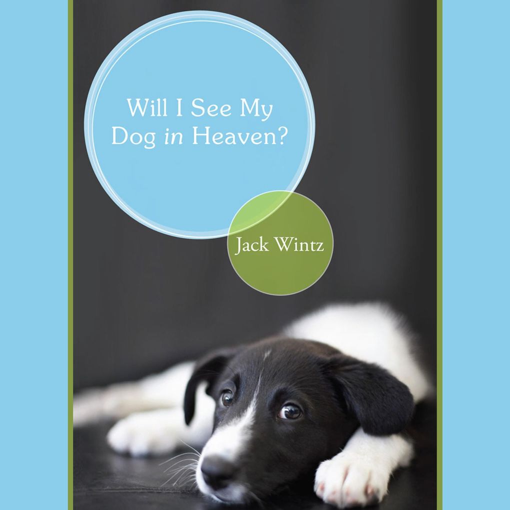 Will I See My Dog In Heaven