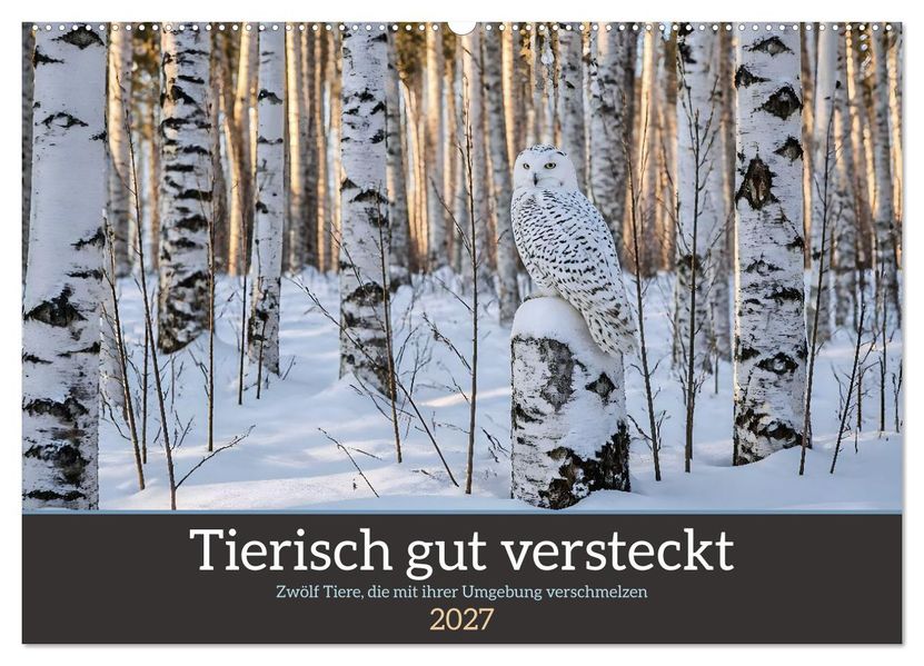 Tierisch gut versteckt - Zwölf Tiere die mit ihrer Umgebung verschmelzen (Wandkalender 2027 DIN A2 quer) CALVENDO Monatskalender