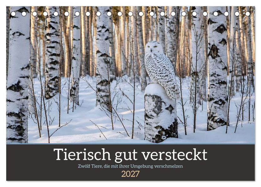 Tierisch gut versteckt - Zwölf Tiere die mit ihrer Umgebung verschmelzen (Tischkalender 2027 DIN A5 quer) CALVENDO Monatskalender