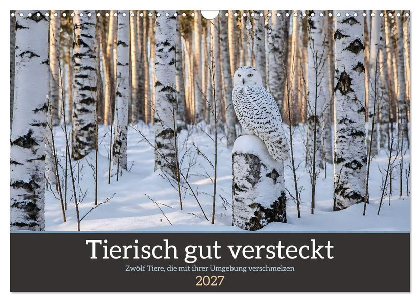 Tierisch gut versteckt - Zwölf Tiere die mit ihrer Umgebung verschmelzen (Wandkalender 2027 DIN A3 quer) CALVENDO Monatskalender