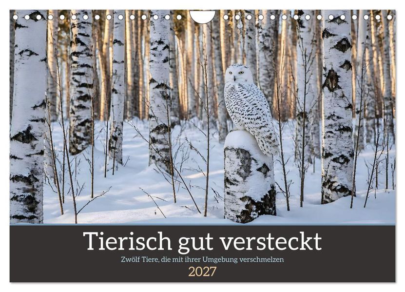 Tierisch gut versteckt - Zwölf Tiere die mit ihrer Umgebung verschmelzen (Wandkalender 2027 DIN A4 quer) CALVENDO Monatskalender