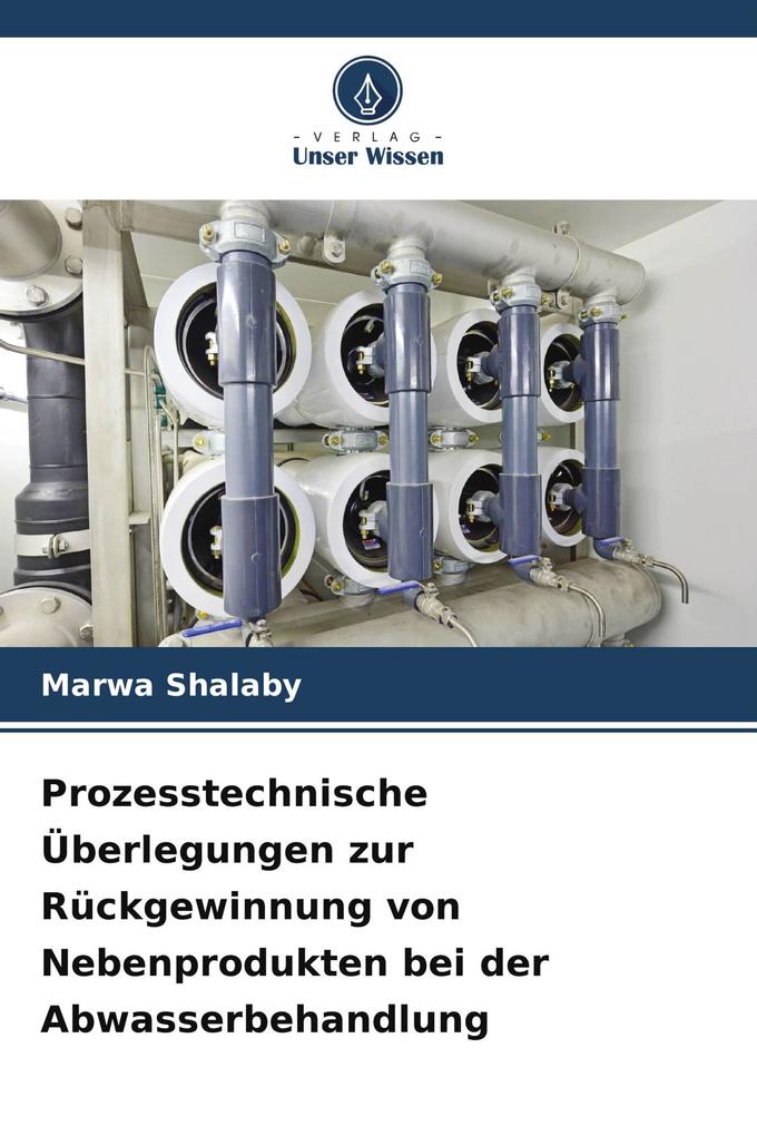 Prozesstechnische Überlegungen zur Rückgewinnung von Nebenprodukten bei der Abwasserbehandlung