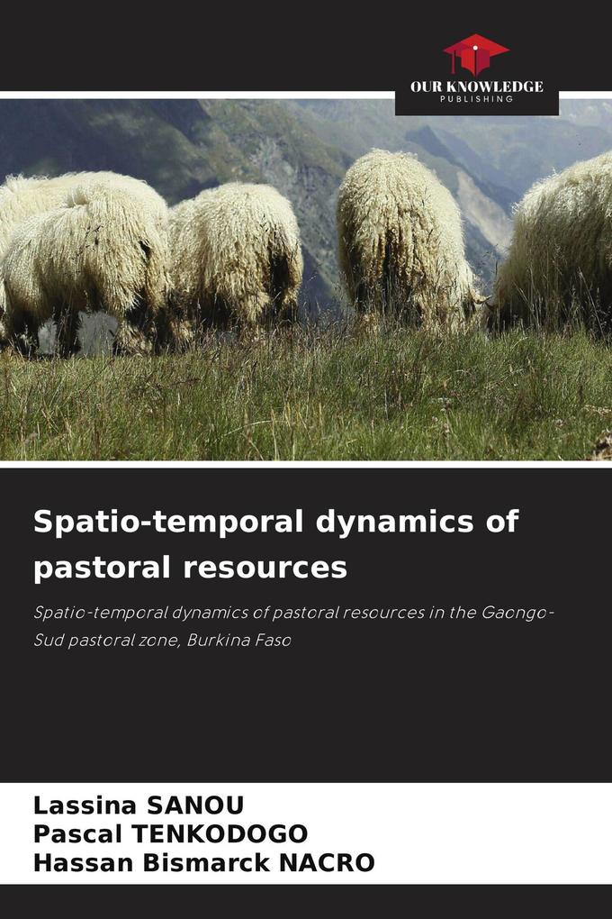 Spatio-temporal dynamics of pastoral resources