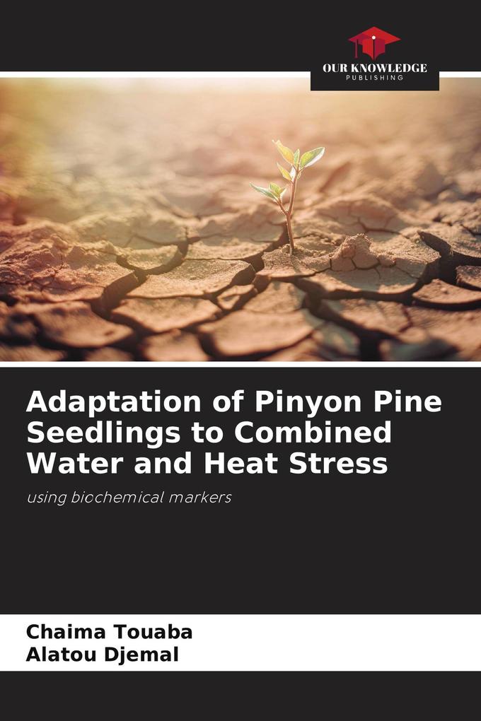 Adaptation of Pinyon Pine Seedlings to Combined Water and Heat Stress