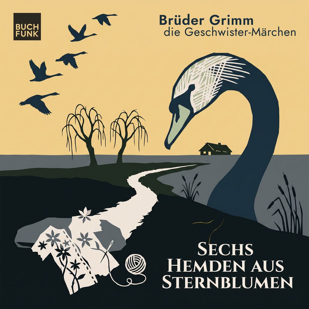 Sechs Hemden aus Sternblumen