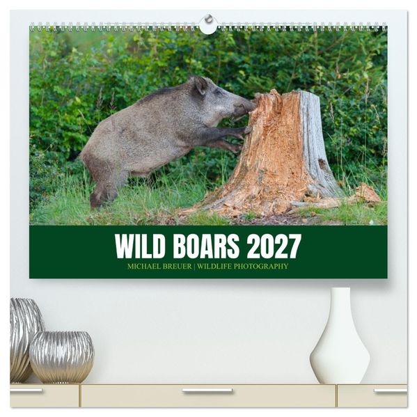 Wild Boars (High Quality Premium Wall Calendar 2027 DIN A2 landscape)CALVENDO 12 Month Wall Calendar