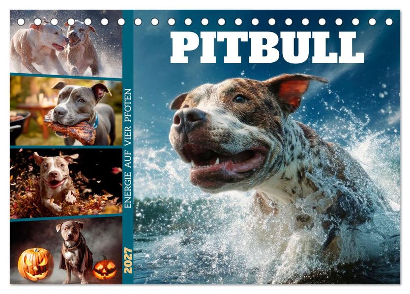 Pitbull - Energie auf vier Pfoten (Tischkalender 2027 DIN A5 quer) CALVENDO Monatskalender