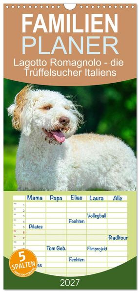 Familienplaner 2027 - Lagotto Romagnolo - die Trüffelsucher Italiens mit 5 Spalten (Wandkalender 21 x 45 cm) CALVENDO