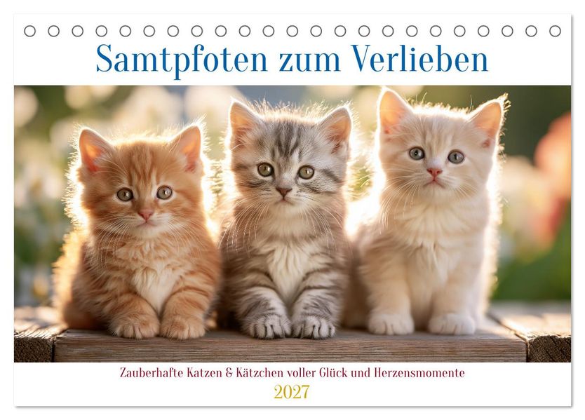 Samtpfoten zum Verlieben (Tischkalender 2027 DIN A5 quer) CALVENDO Monatskalender