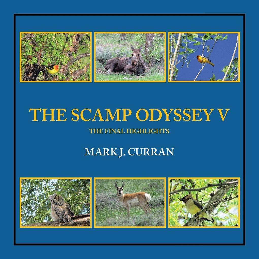 THE SCAMP ODYSSEY V